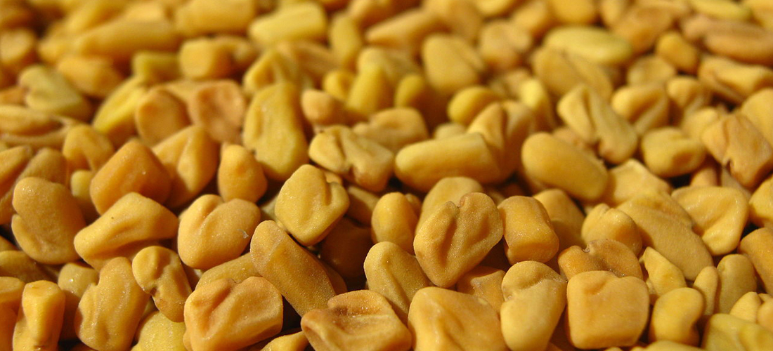 Fenugreek Seeds